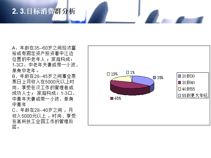 武汉房地产项目营销策划报告（PPT案例分析)-目标消费群分析