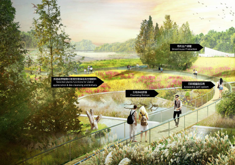 [四川]成都滨河智慧农业公园景观设计方案-观赏植物效果图