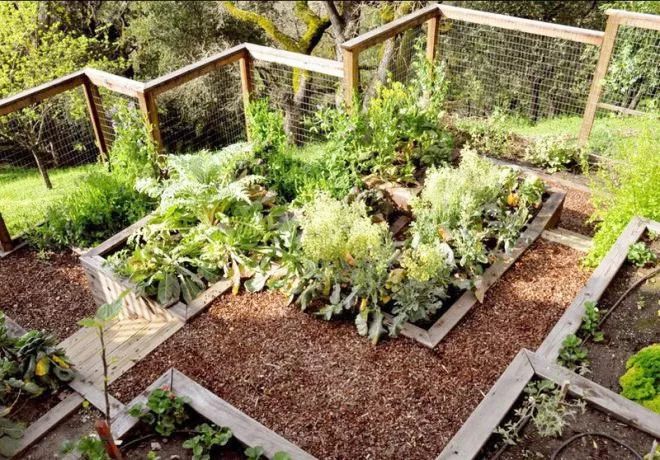 菜园变花园,太惬意了!-景观设计-筑龙园林景观论坛