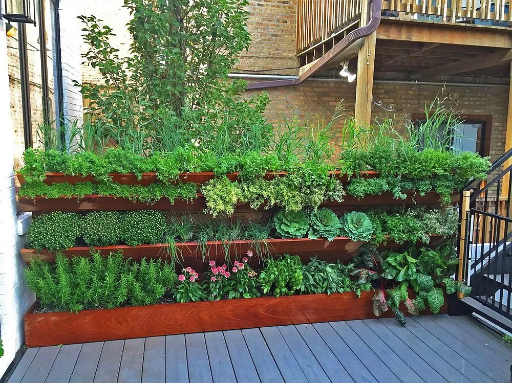 菜园变花园,太惬意了!-景观设计-筑龙园林景观论坛