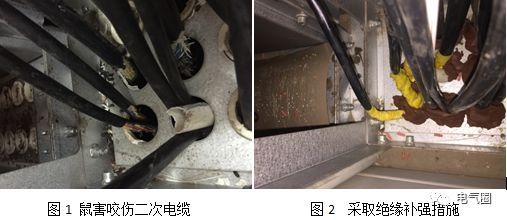 电力建设危险点分析及预控措施下载资料下载-电力设备的鼠害防治措施有哪些?