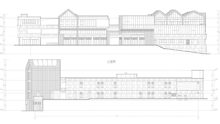 [重庆]重庆知名地产森林公园建筑设计-立面图二