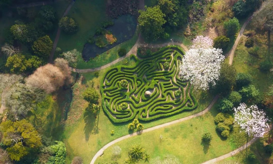人类建造迷宫已有5000年的历史,迷宫景观趣在"迷"字