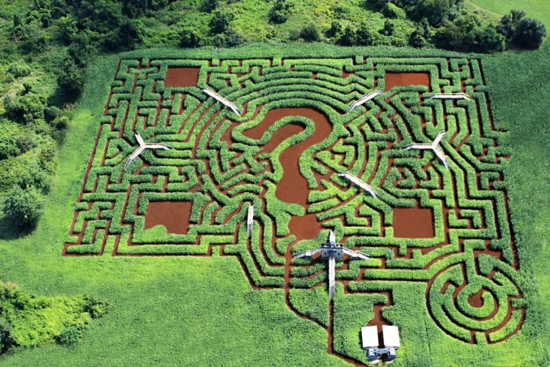hampton courtmaze