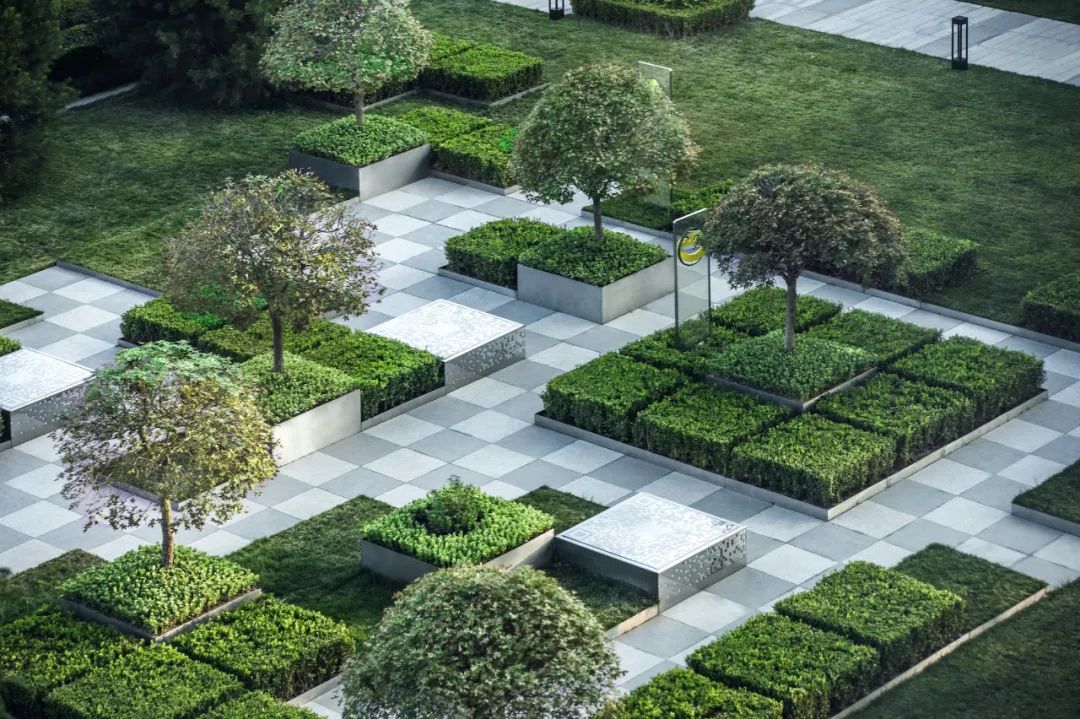 "素人"绿篱,真香!-景观设计-筑龙园林景观论坛