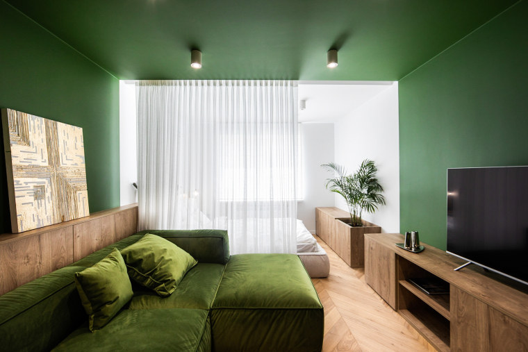 伊甸园般绿色公寓资料下载-46㎡清新小北欧公寓，绿色“治愈系”