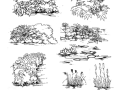 35张手绘配景练习示例(植物人物小品)