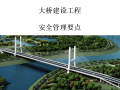 知名建设工程新河大桥安全管理要点(PPT)