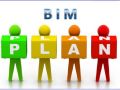 一个完整的项目级BIM应用计划应该包含哪些