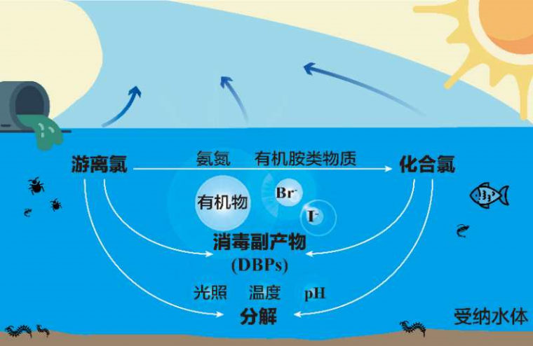 图5 余氯在受纳水体中的转化途径