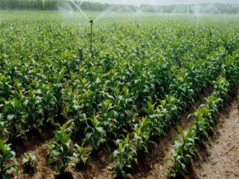生态农业建设可研资料下载-节水和净水型生态农业灌溉技术