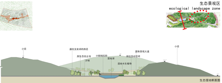 [湖南]湖南大学湘江学院景观设计方案-生态湿地断面图