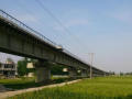 跨高速特大桥连续梁实施性施工组织设计