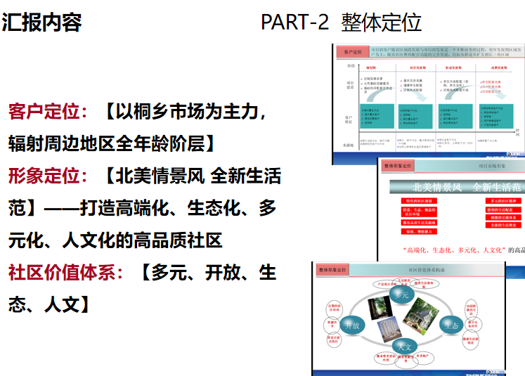 社区配套养老设计资料下载-上海平安桐乡项目养老社区策划报告_170p