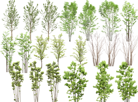 ps园林素材立面资料下载-高清园林树木PS素材 (1~5)