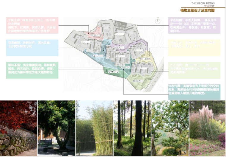 [日照]生态中式山地度假别墅景观设计方案-7-植物主题设计及意向图