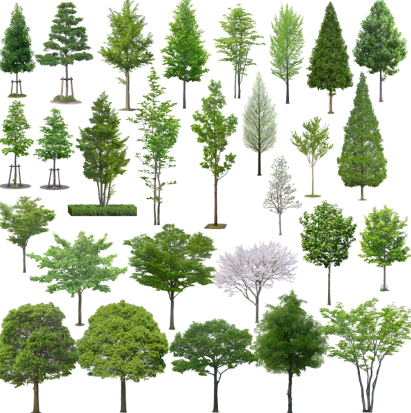 高清园林树木ps素材(1~5)