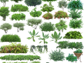 高清园林树木PS素材（9）-绿篱、花带、球灌