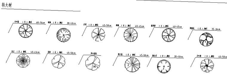 园林植物平面图例下载资料下载-某设计公司常用华南地区园林植物图例、规格
