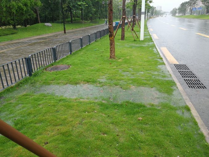 [分享]微地形在道路綠化中的實踐應用