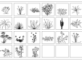 常用景观CAD图块-园林花草立面