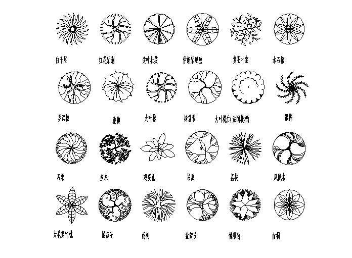 常用景观CAD图块-园林树木平面-1-园林树木平面图-乔木（2）