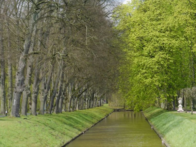 河道岸线绿化资料下载-河道景观设计秘籍：驳岸、亲水、绿化......