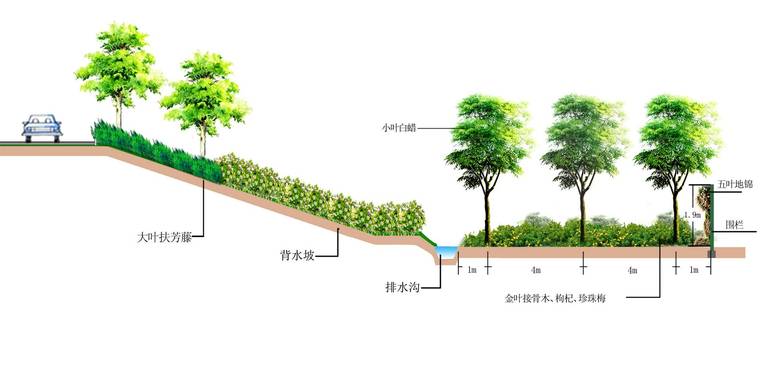 背水坡外侧管理范围断面图