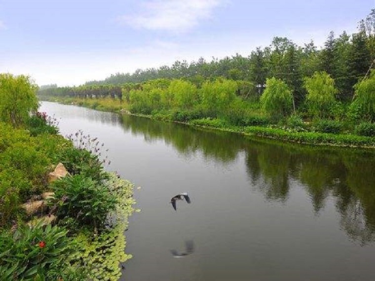 河道整治规划方案资料下载-河道防洪整治改造方案