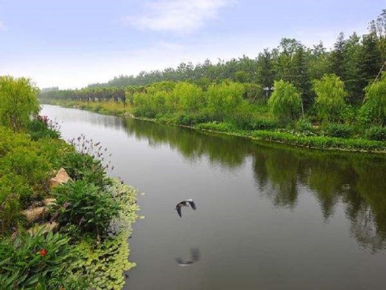 河道景观整治方案资料下载-河道防洪整治改造方案