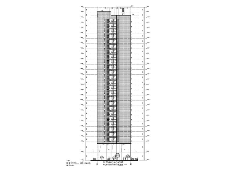 大型住宅项目建筑图纸含合同招标文件-立面图2