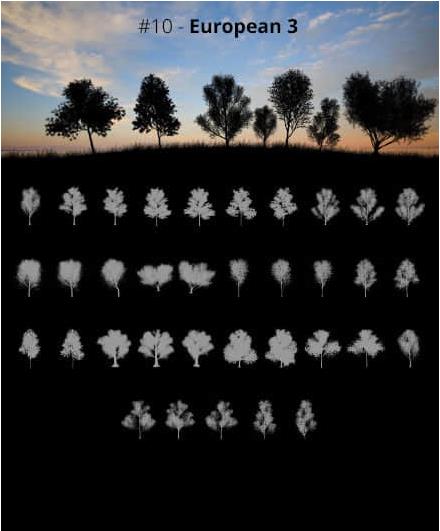 [分享]photoshop笔刷-600种景观植物立面笔刷