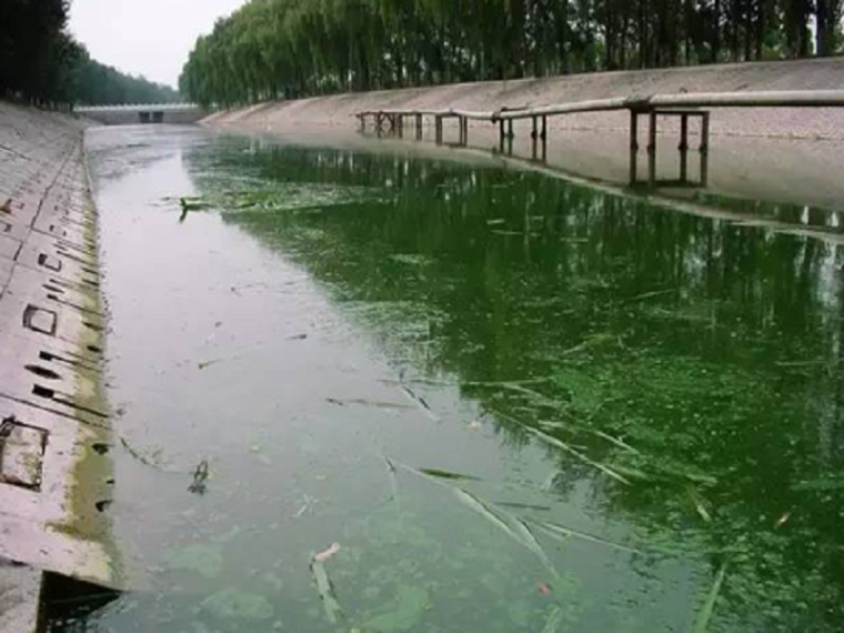 护岸的设计资料下载-黑臭水体整治及护坡护岸施工组织设计