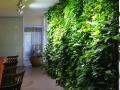 提高植物墙存活率不可忽视的问题