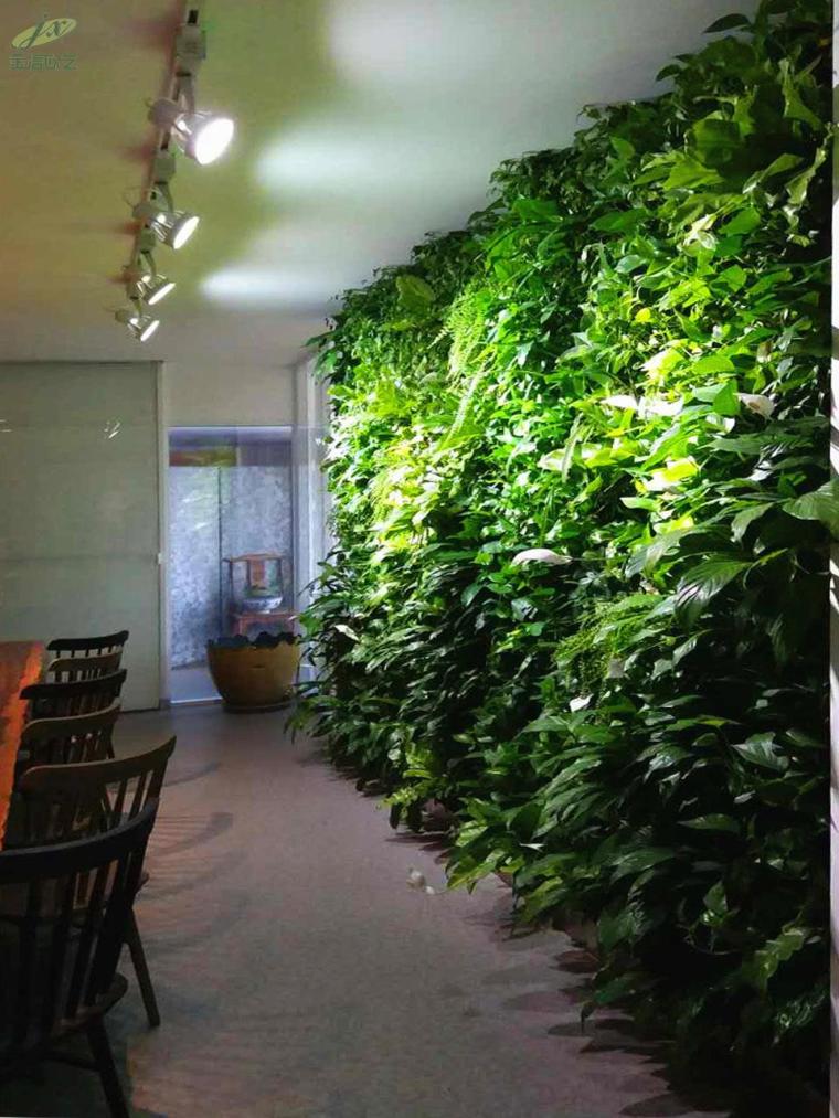 提高绿化生存率资料下载-提高植物墙存活率不可忽视的问题