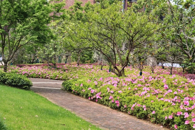 香港绿地·璀璨四季花园住宅景观-红杉国际设计-居住区案例-筑龙园林
