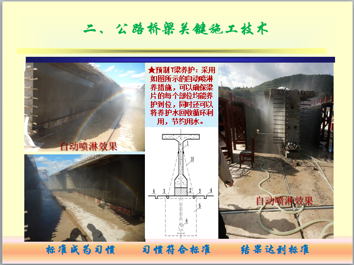 桥梁工程施工技术交流汇报材料（图文并茂）-预制T梁养护