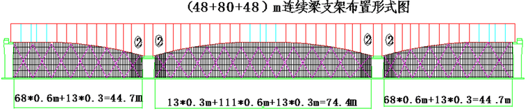 特大桥连续梁施工安全教育培训（内含PPT）-连续梁支架布置形式图