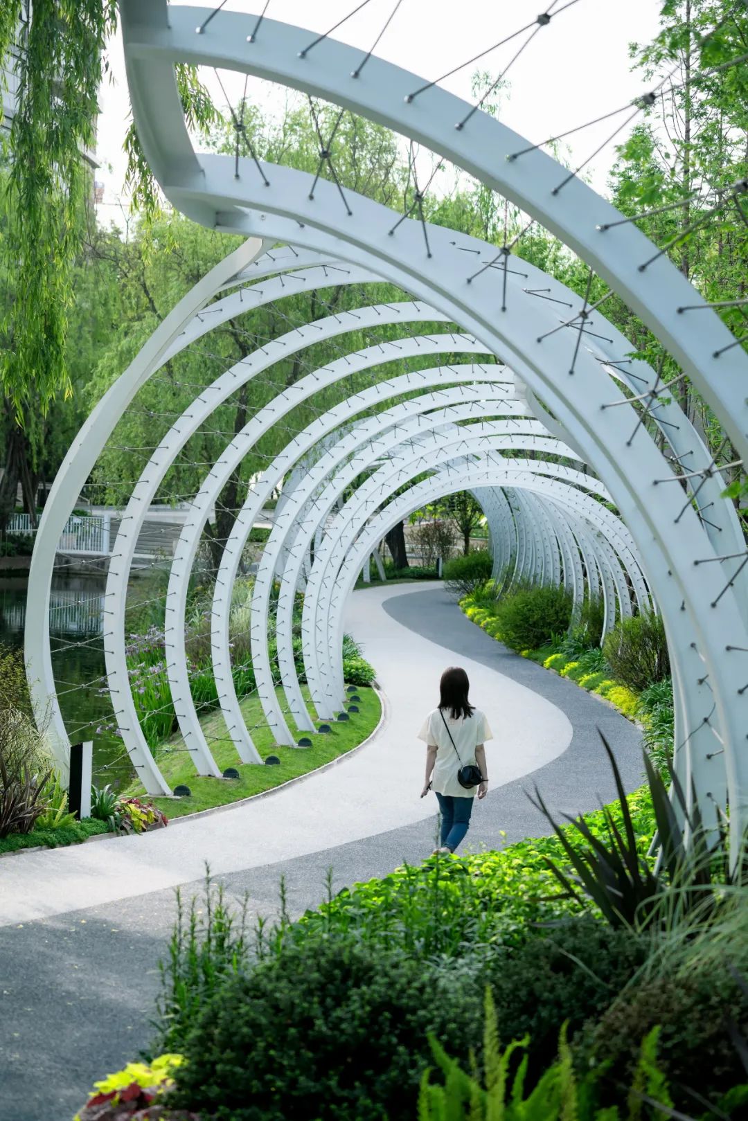 穿过星轨包裹的梦境—麓湖g5滨湖景观改造-景观设计-筑龙园林景观论坛