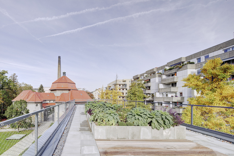 德国寂静的绿色文化建筑-教育建筑案例-筑龙建筑设计论坛