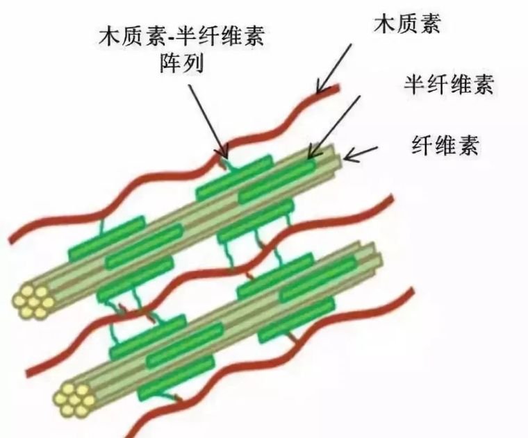 什么是烧杉板？_10