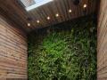 室内植物墙对环境的作用