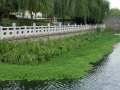 河水水体生态修复及景观设计方案