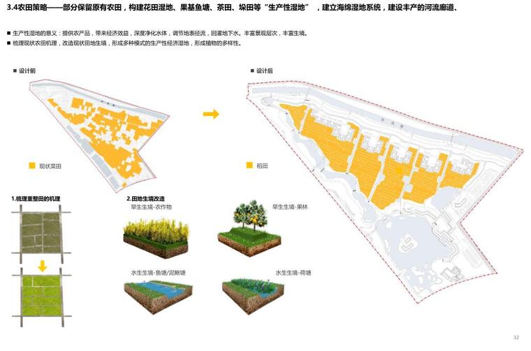 [广东]生态滨水湿地公园景观方案设计-农田策略