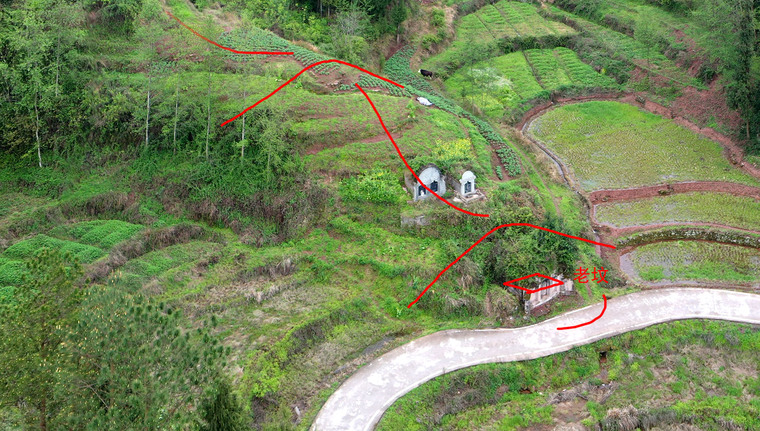 [资料]陈益峰:龟形地,向氏团长祖坟