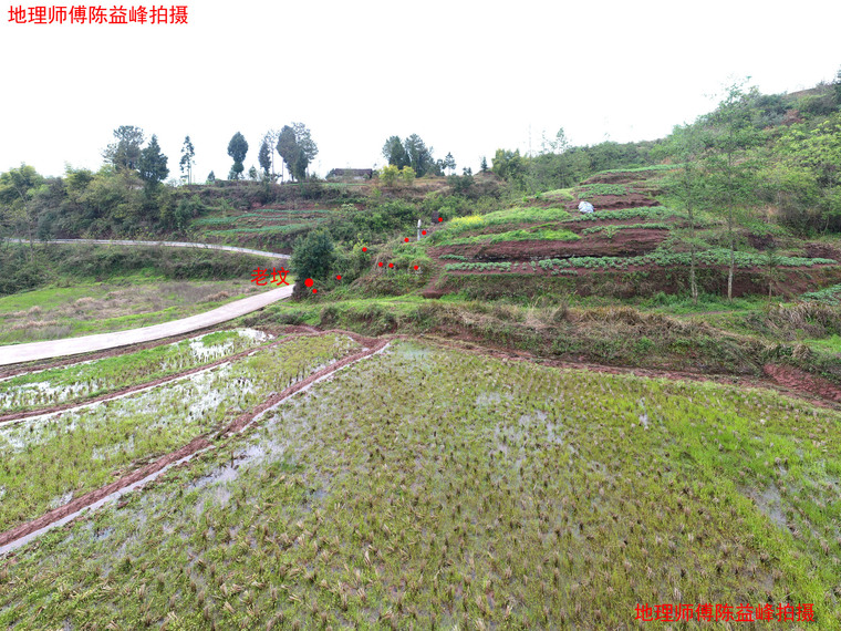 陳益峰:龜形地,向氏團長祖墳-建築風水-築龍建築設計論壇