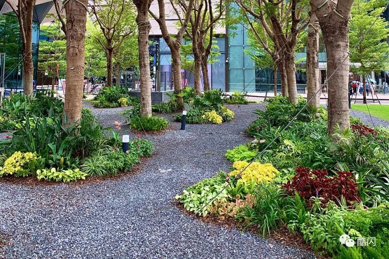 [分享]花境系列(三)——花境发展的误区和启发