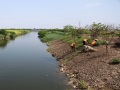 河道整治改造及挡墙工程施工方案