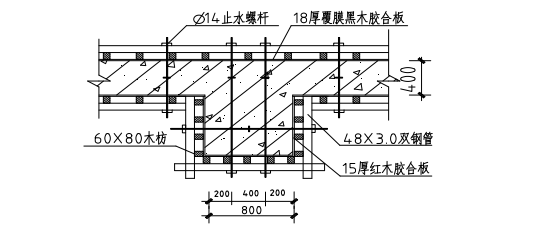 800×1100 边柱支模大样图