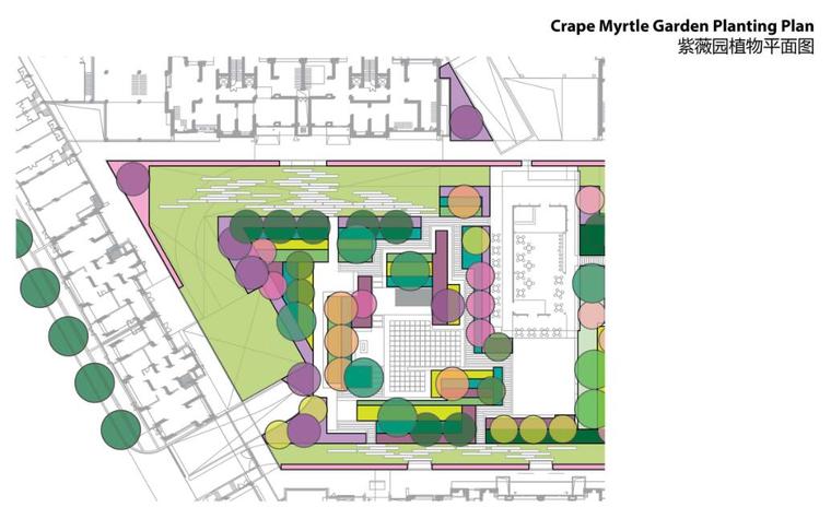 紫薇园植物配置